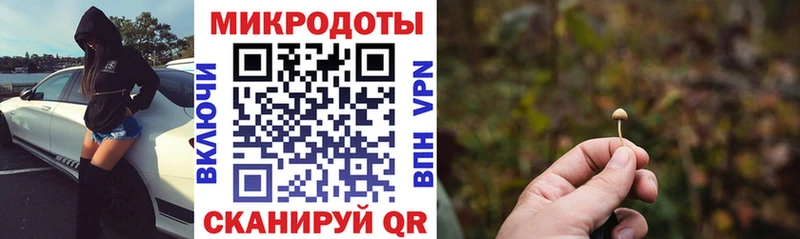 купить наркоту  omg ONION  Галлюциногенные грибы MAGIC MUSHROOMS  Тейково 